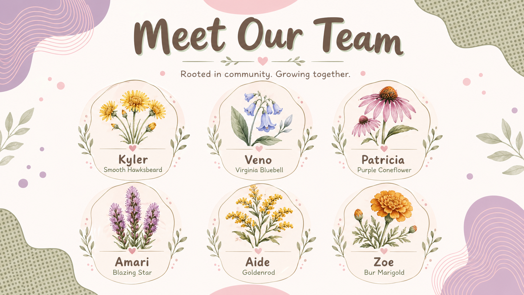 Placeholder for Kyler portrait inside a Smooth Hawksbeard flower